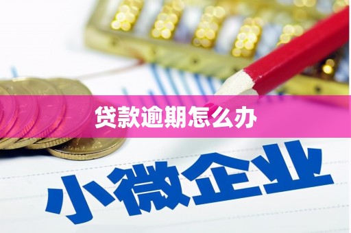 郑州贷款逾期怎么办