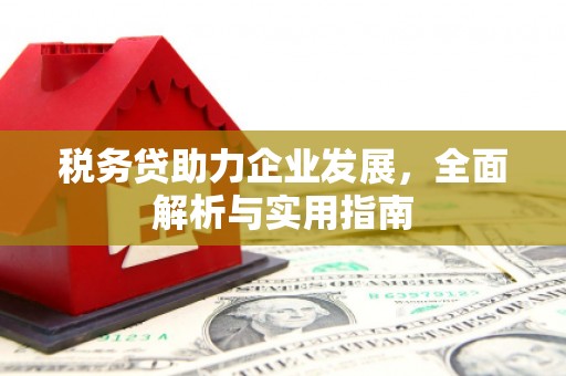 郑州税务贷助力企业发展，全面解析与实用指南