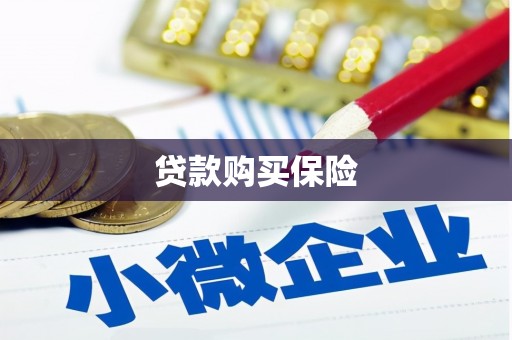 郑州贷款购买保险
