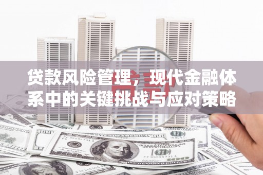 郑州贷款风险管理，现代金融体系中的关键挑战与应对策略