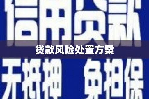郑州贷款风险处置方案