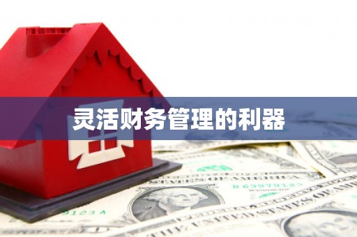 郑州灵活财务管理的利器