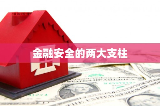 郑州金融安全的两大支柱