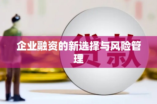 郑州企业融资的新选择与风险管理