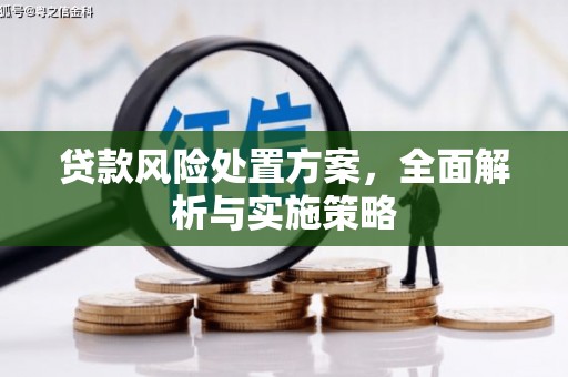 郑州贷款风险处置方案，全面解析与实施策略