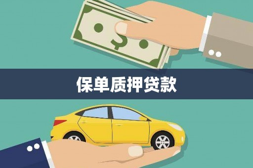 郑州保单质押贷款