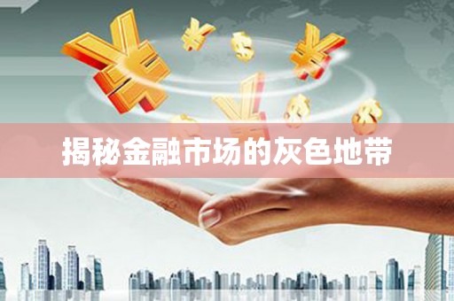 郑州揭秘金融市场的灰色地带