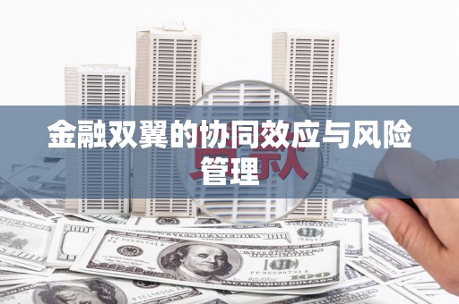 郑州金融双翼的协同效应与风险管理