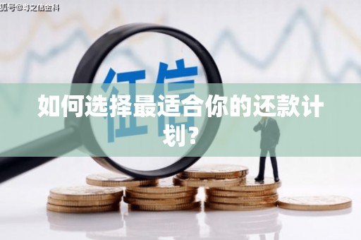 郑州如何选择最适合你的还款计划？