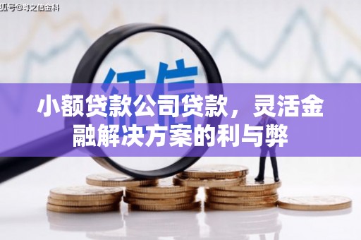 郑州小额贷款公司贷款，灵活金融解决方案的利与弊